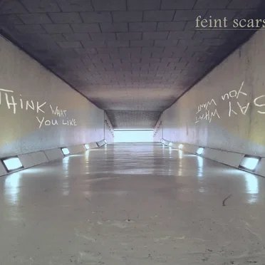 Think What You Like. Say What You Want