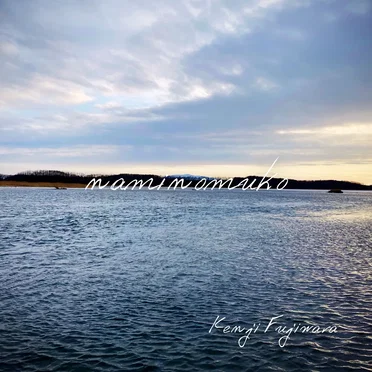 naminomuko by Kenji Fujiwara - album cover