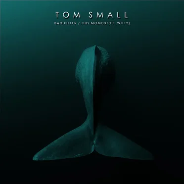 Bad Killer / This Moment by Tom Small - album cover