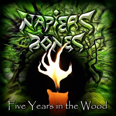 Five Years in the Wood