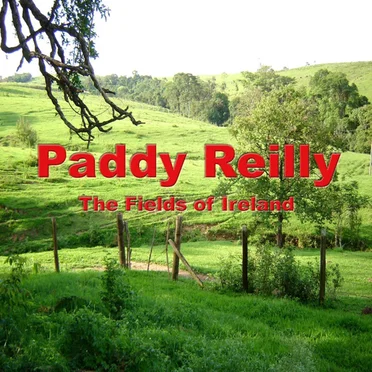 Paddy Reilly