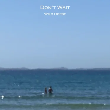 Don't Wait by Wild Horse - album cover
