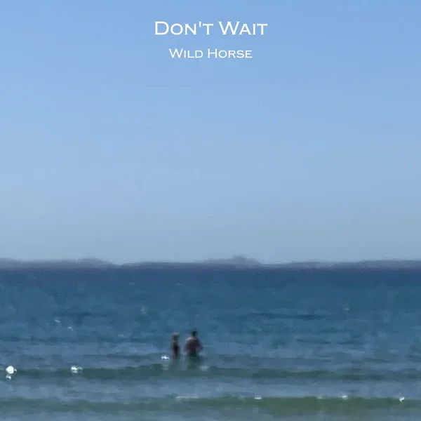 Don't Wait
