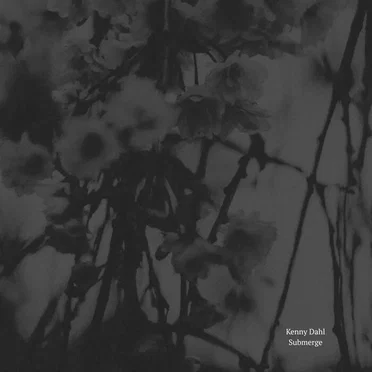Submerge by Kenny Dahl - album cover