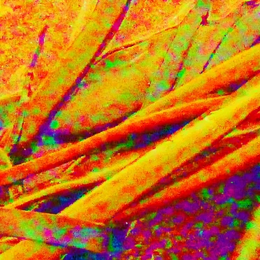Car Door Closed EP