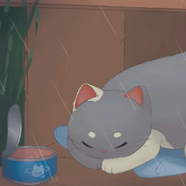 cat in a box