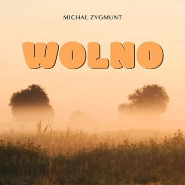Wolno by Michał Zygmunt - album cover