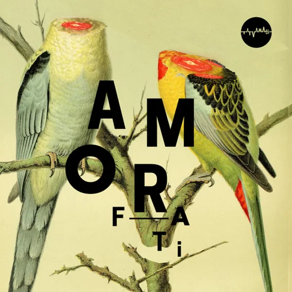 Amor Fati