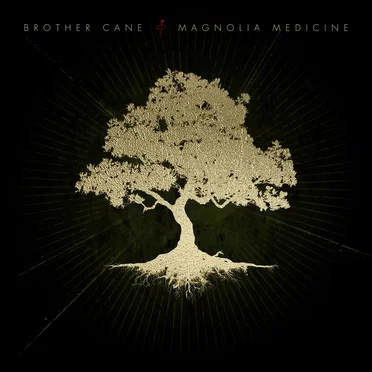 Magnolia Medicine