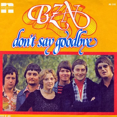 Don’t Say Goodbye