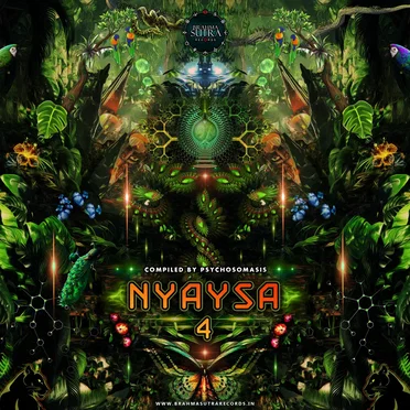 Nyaysa 4 by Various Artists - album cover