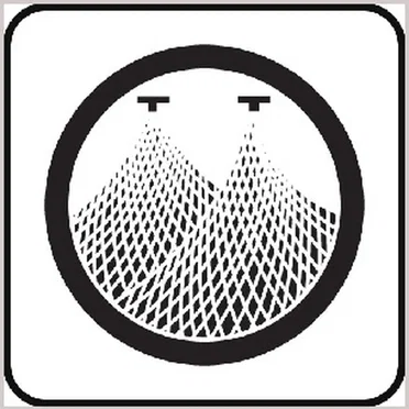 A Life Saved by a Spider and Two Doves