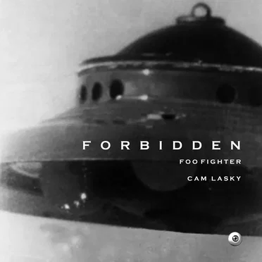 Forbidden Vol.10 Foo Fighter by Cam Lasky - album cover