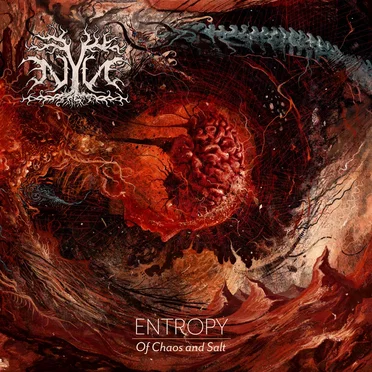 Entropy: Of Chaos and Salt