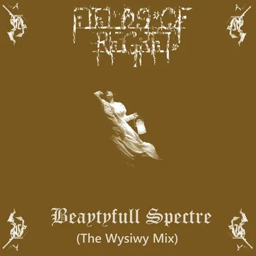 Beautyfull Spectre by Fields of Regret - album cover