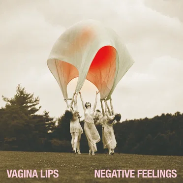 Negative Feelings by The Vagina Lips - album cover