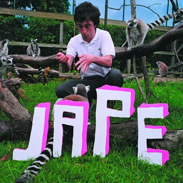 The Monkeys in the Zoo Have More Fun Than Me