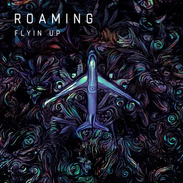 Roaming