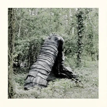 Lost Divine by Trøm Borg - album cover