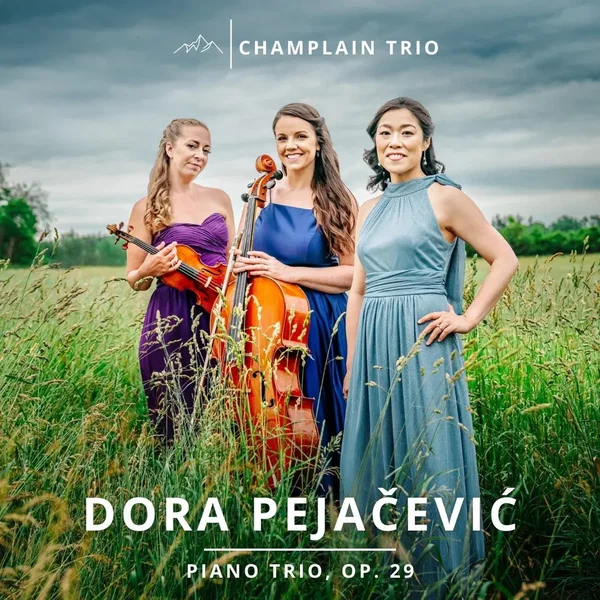 Piano Trio, op. 29