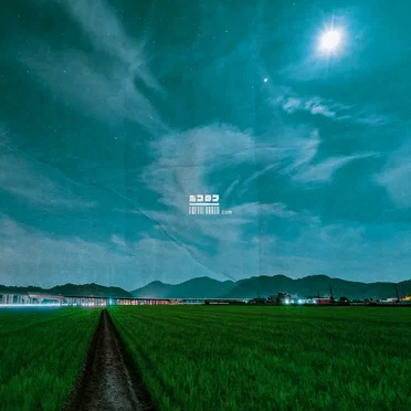 Love Her.com by ⠀ - album cover