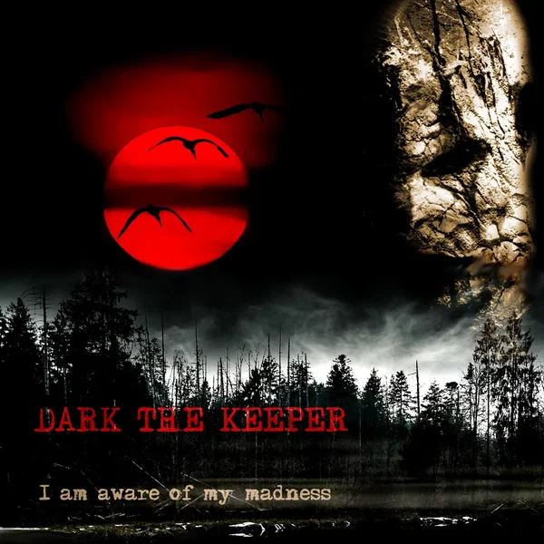 I Am Aware of My Madness