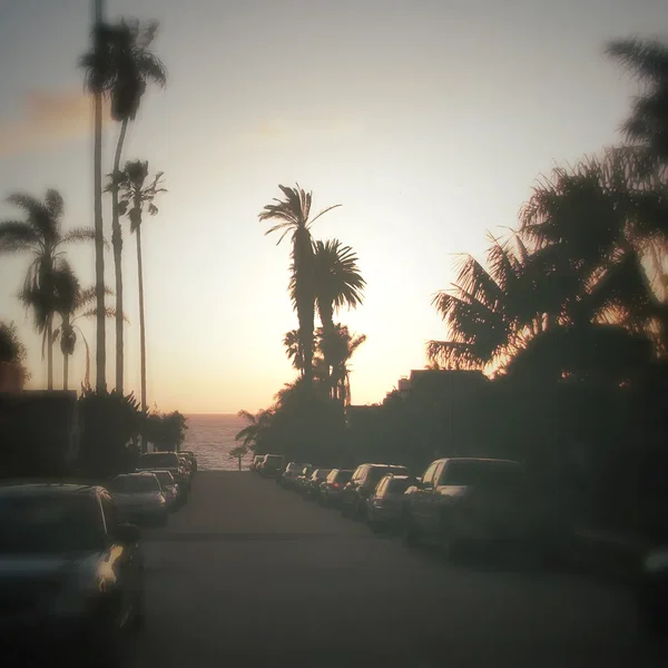 Rua dos Hibiscos