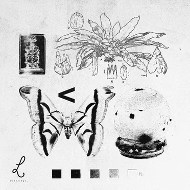 Dead Weight EP by Lavier - album cover