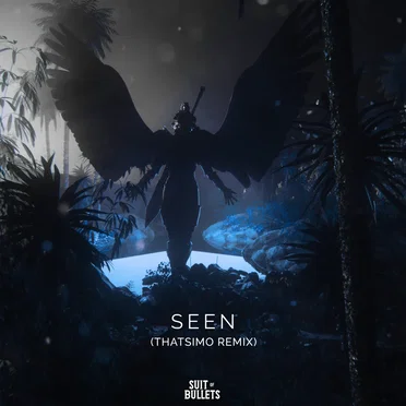 Seen (Thatsimo remix)
