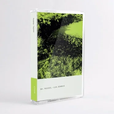 Swamp Tapes Volume 8 by Various Artists - album cover
