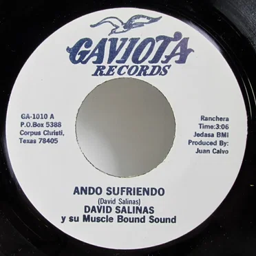 Ando sufriendo / Pero soy casado by David Salinas y su Muscle Bound Sound - album cover