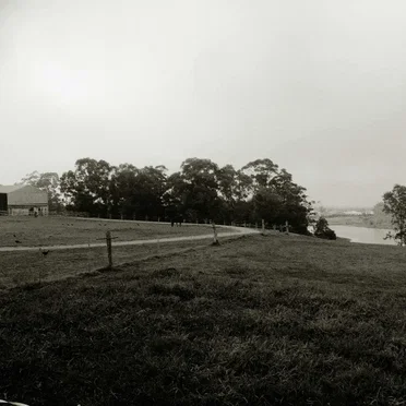 four trees