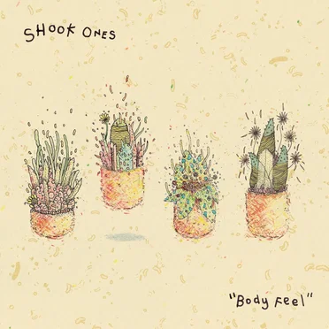 Body Feel by Shook Ones - album cover