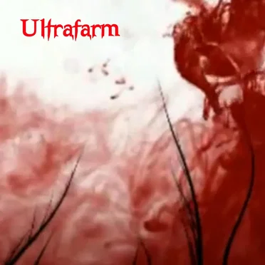 Vampire/Into the Sand by Ultrafarm - album cover
