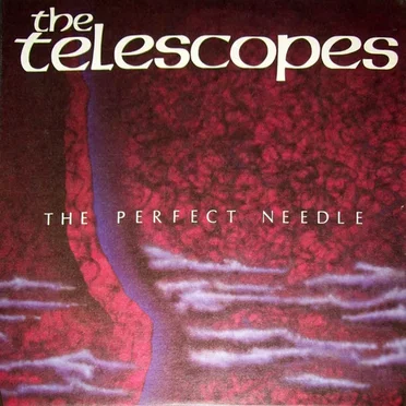 The Perfect Needle