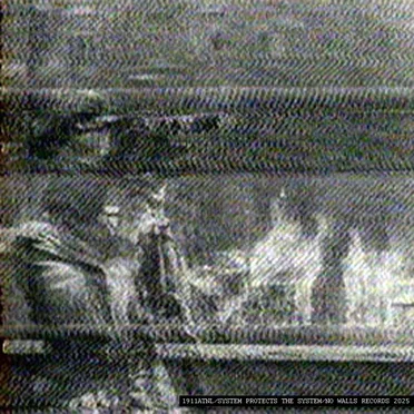 System Protects the System by 1911ATNL - album cover