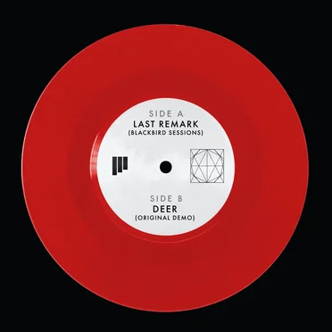Last Remark (Blackbird Sessions) / Deer (original demo)