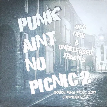 Punk Ain't No Picnic 2 by Various Artists - album cover