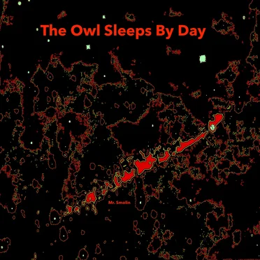 The Owl Sleeps by Day