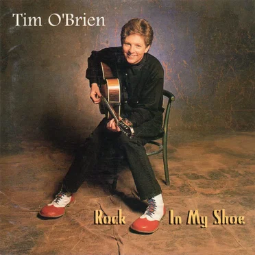 Rock in My Shoe