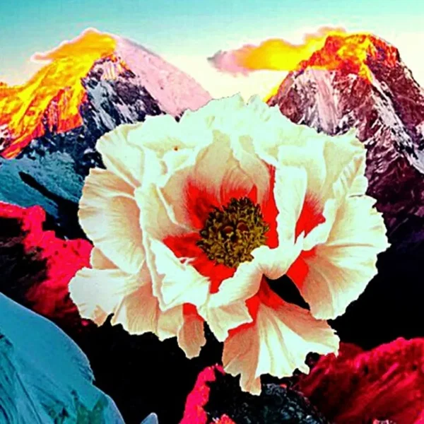 Flower of Life
