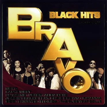 Bravo Black Hits, Vol. 19 by Various Artists - album cover