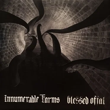 Innumerable Forms / Blessed Offal