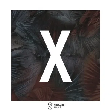 Voltaire Music pres. X by Various Artists - album cover