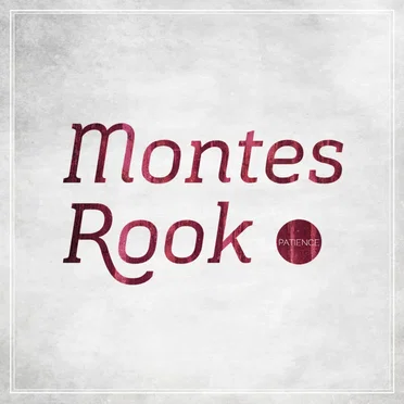 Patience by Montes Rook - album cover