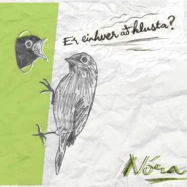 Er einhver að hlusta? by Nóra - album cover