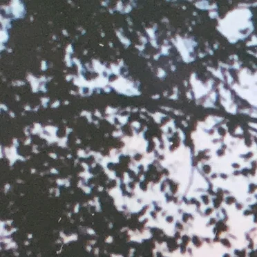 Little Victories by Part-time Lumberjack - album cover