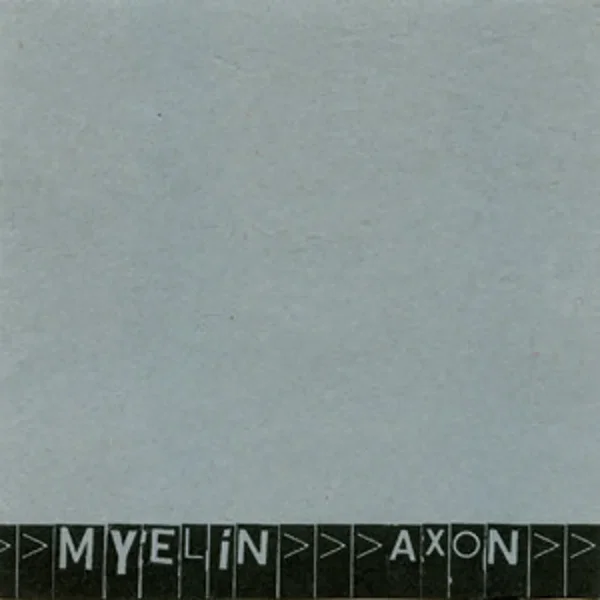 Axon