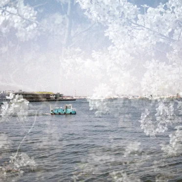 Views From Yamashita Park / Hatagaya Greenways