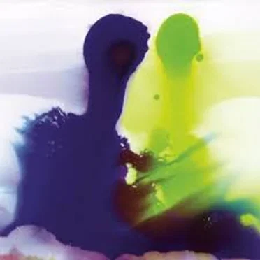 Qu’est‐ce que c’est la vie, chaton ?